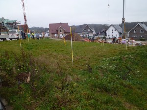P1040363_kleiner